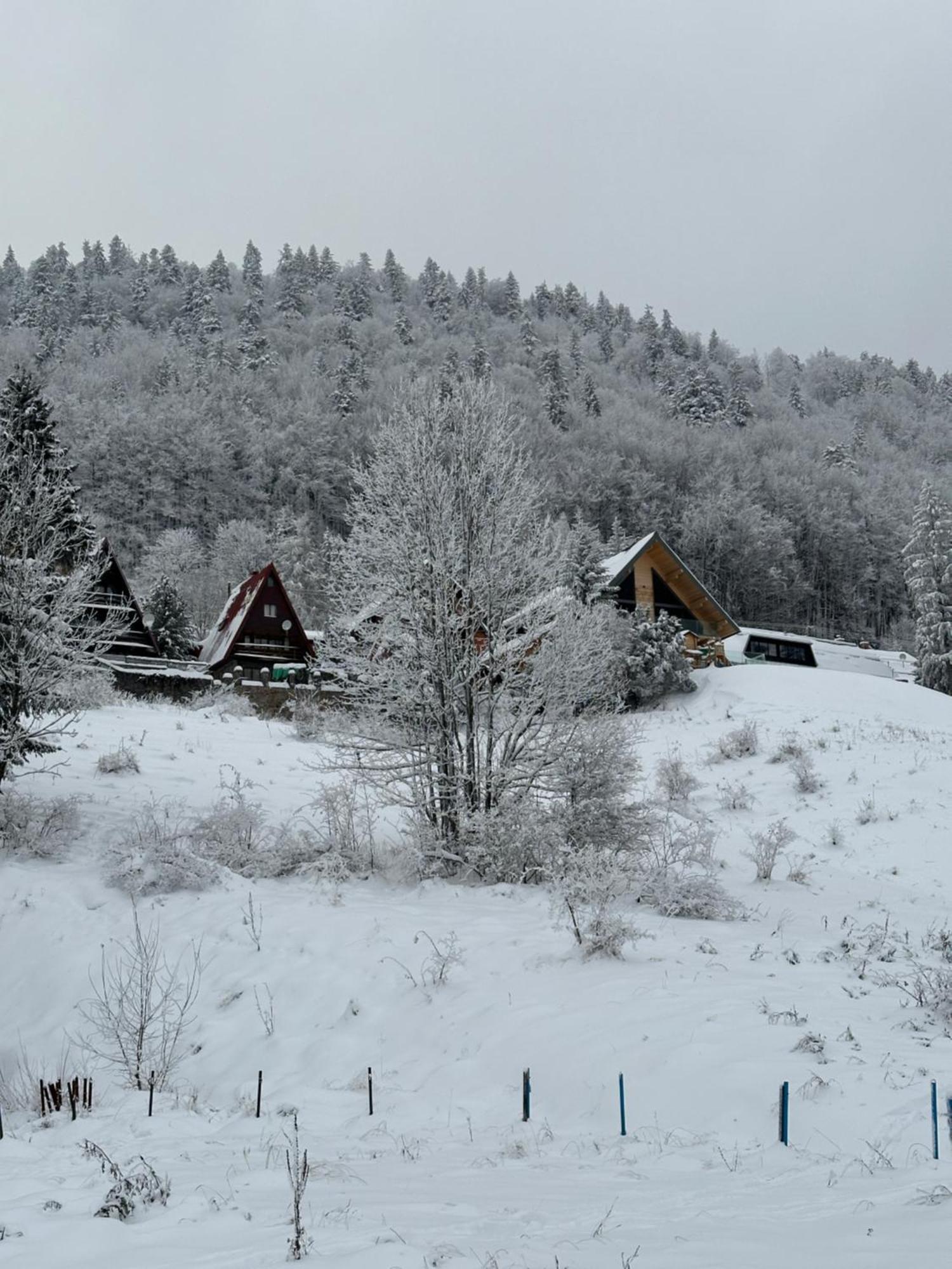 Apartman Forest View Donovaly Exterior foto